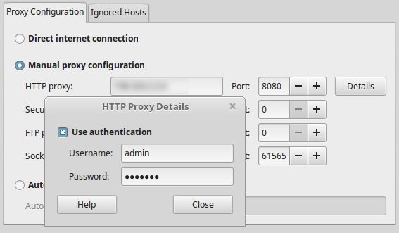 Supplying Proxy Credentials in Linux