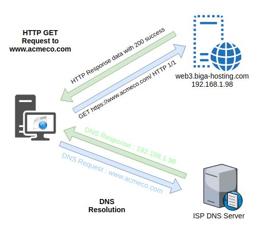 Get Request to a server hosting multiple domains