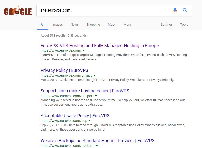 Euro VPS Google Index
