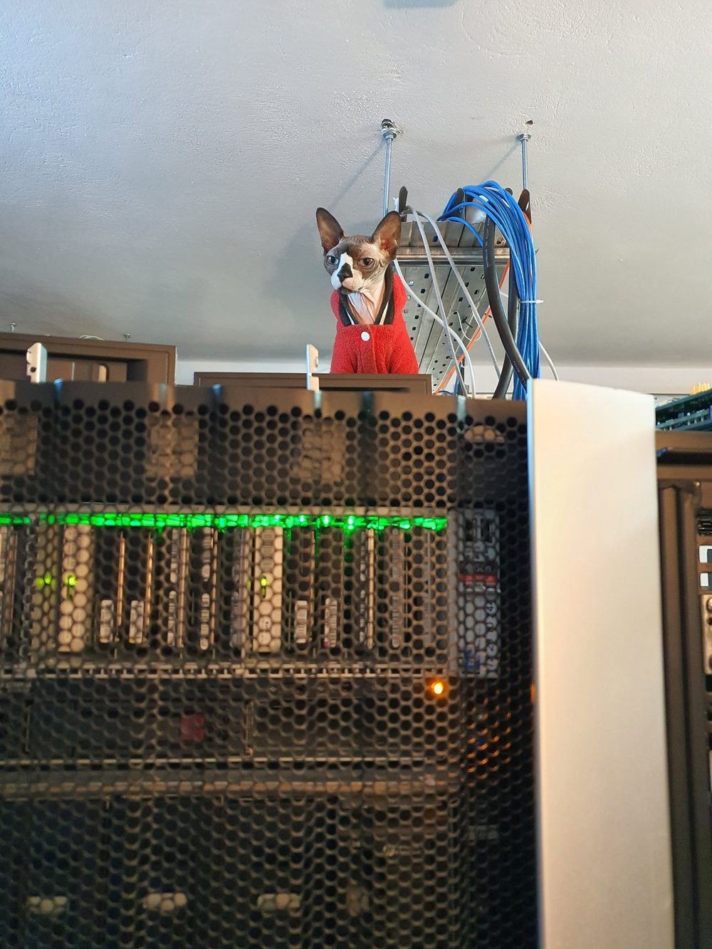 Ellis in a red jumper, peering over the top of a rack of running servers