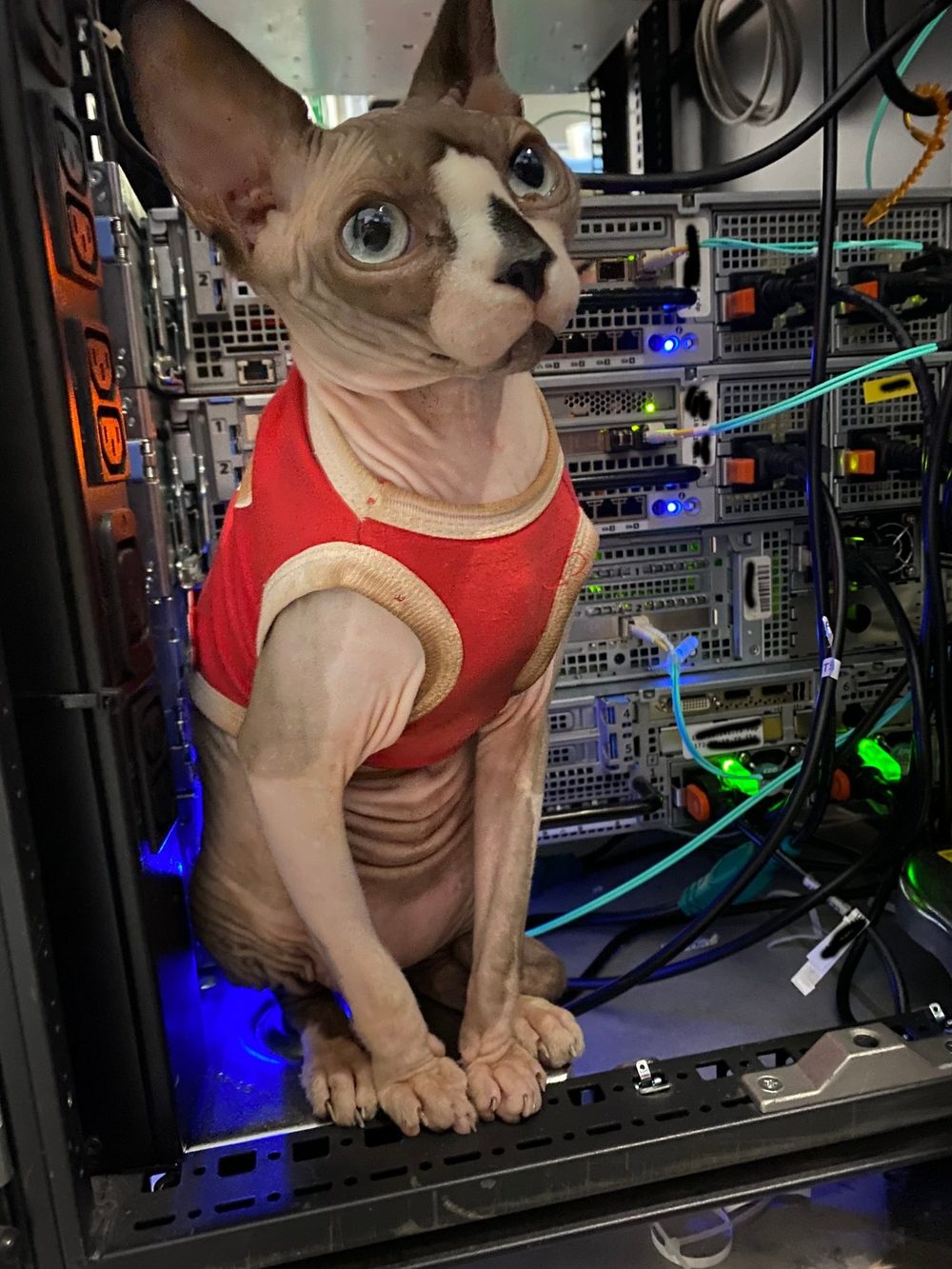 Ellis sitting inside a rack among servers, lit by blue status lights