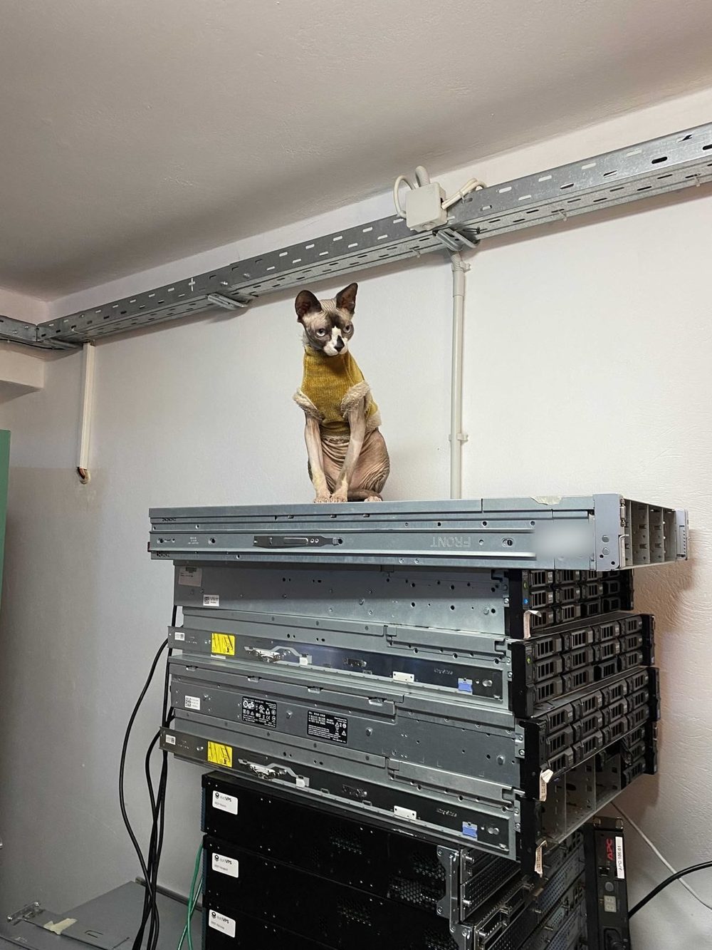 Ellis in a yellow jumper, sitting on top of a stack of storage servers