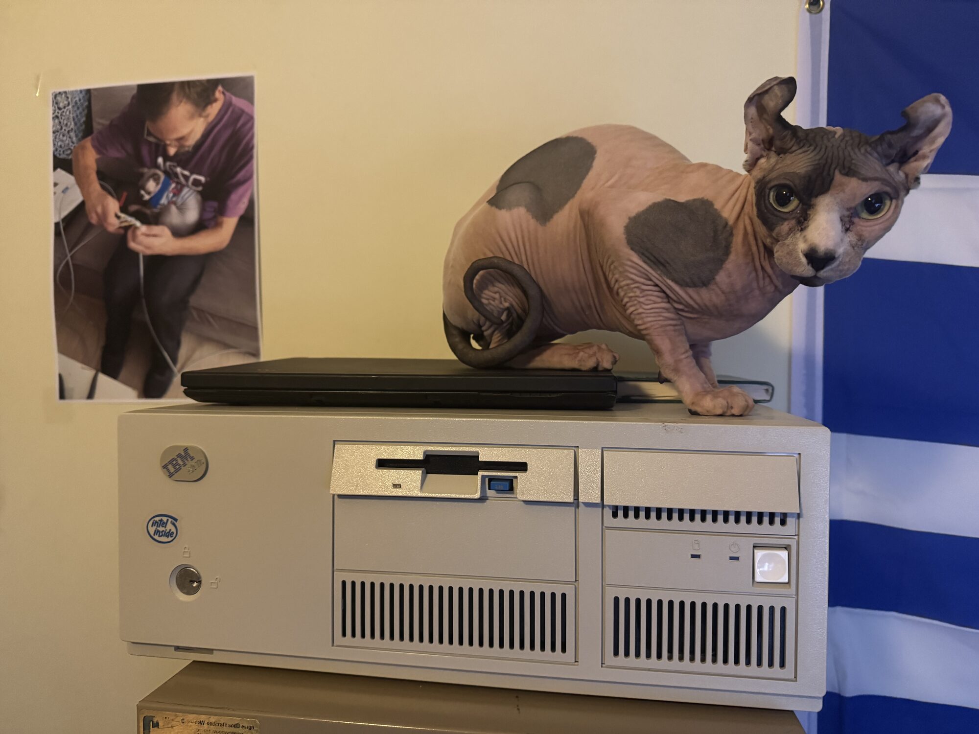 Ο Gagarin, ο Sphynx μας, καθισμένος πάνω σε έναν vintage IBM PS/2